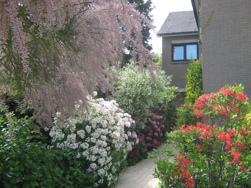 Prince D'Orange Bed & Breakfast Braine-lʼAlleud Esterno foto